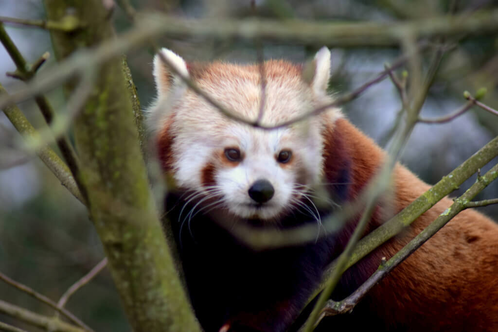 pieniadz jest kobieta