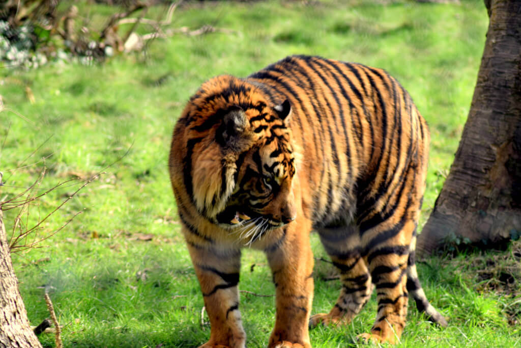 pieniadz jest kobieta